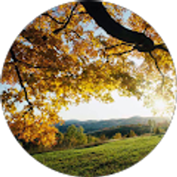 Profile photo of Ray Denise