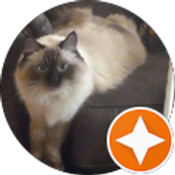 Profile photo of Lisa Weller