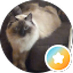Profile photo of Lisa Weller