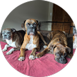 Profile photo of Rebecca Montesano