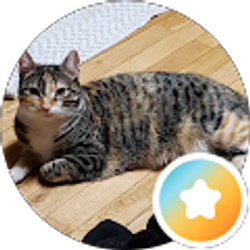 Profile photo of Sue Wiese