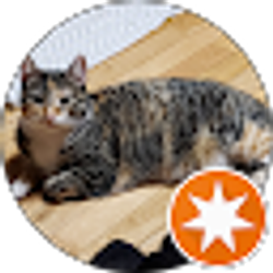 Profile photo of Sue Wiese