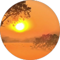 Profile photo of shaune w