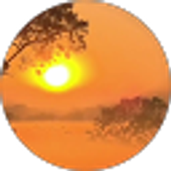 Profile photo of shaune w