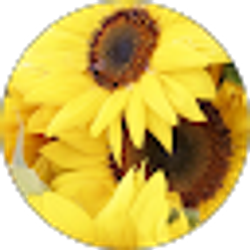 Profile photo of katarina jones