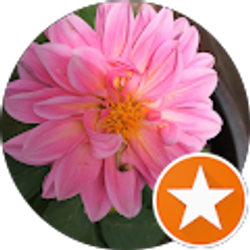 Profile photo of Aparna Chandra