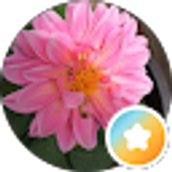 Profile photo of Aparna Chandra