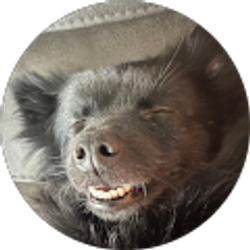 Profile photo of Arlo Grey