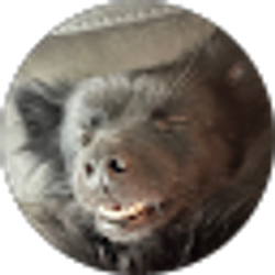 Profile photo of Arlo Grey