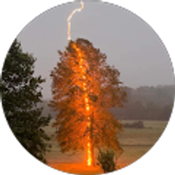 Profile photo of T TAL