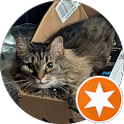 Profile photo of Josh Jacolucci