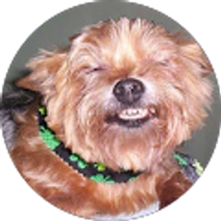 Profile photo of Susan Southwood Abrams