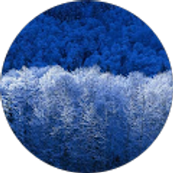 Profile photo of A V