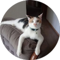 Profile photo of Bryan Hill