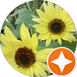 Profile photo of Lise Smith