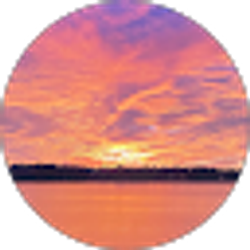 Profile photo of A L