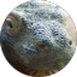Profile photo of Cory VanNostrand