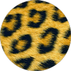 Profile photo of Lesa Thompson