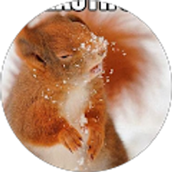 Profile photo of Katherine Stapleton