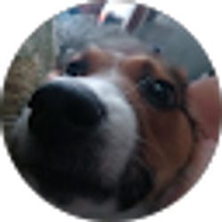 Profile photo of Lori Lang