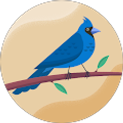 Profile photo of Kimberly King