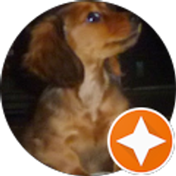 Profile photo of Walt Nurmi