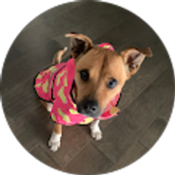 Profile photo of Betty