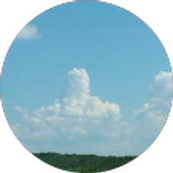 Profile photo of Mary Wilkin