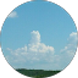 Profile photo of Mary Wilkin