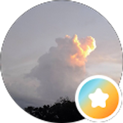 Profile photo of bobusar