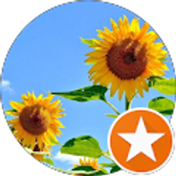 Profile photo of Caitlin Young