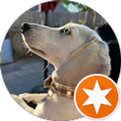 Profile photo of Neil Kelley