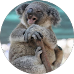 Profile photo of Steven Zambrano