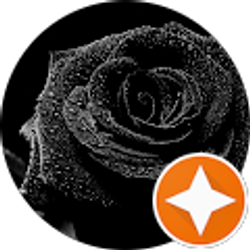 Profile photo of Faye Wang