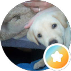 Profile photo of Nav Bch