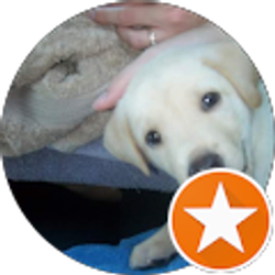 Profile photo of Nav Bch