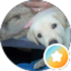 Profile photo of Nav Bch