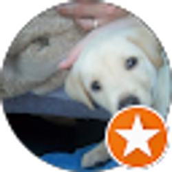 Profile photo of Nav Bch