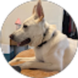 Profile photo of Adam Masse