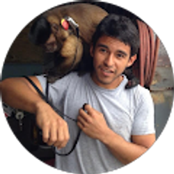 Profile photo of Matthew Cortinas