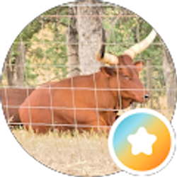 Profile photo of Cynthia Houser