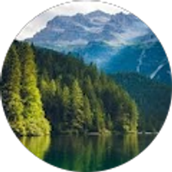 Profile photo of Honest Reviewer