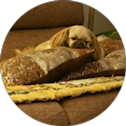 Profile photo of Deb Mitchell