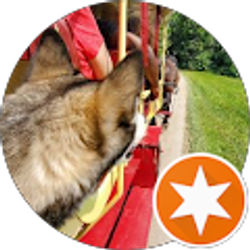 Profile photo of Chris Brannan