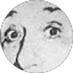 Profile photo of Sam Jensen