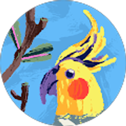 Profile photo of Jennifer Shaddox