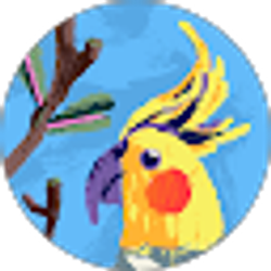 Profile photo of Jennifer Shaddox