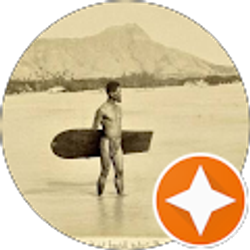 Profile photo of N Bus