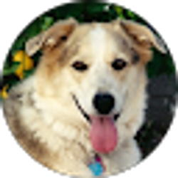 Profile photo of J Behrendt