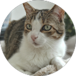 Profile photo of Julie W